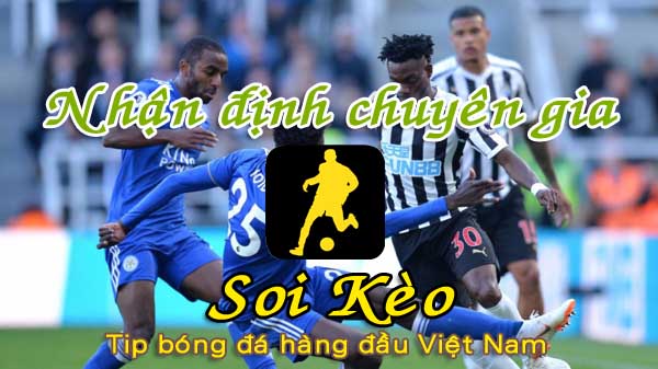 Nhận định Soi Kèo Newcastle vs Leicester: Giăng bẫy bắt Cáo