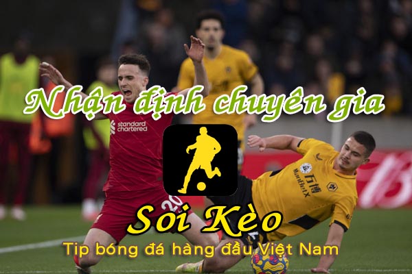 Nhận định Soi Kèo Liverpool vs Wolves: 3 điểm không trọn vẹn