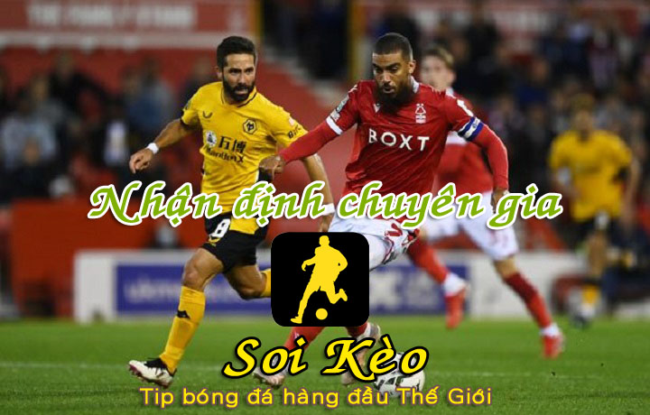 Soi Kèo Nottingham - Wolves
