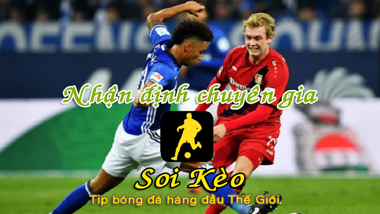 Soi Kèo Schalke - Leverkusen